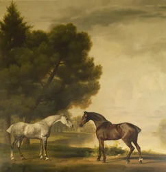 Un gris y un bayo en un paisaje